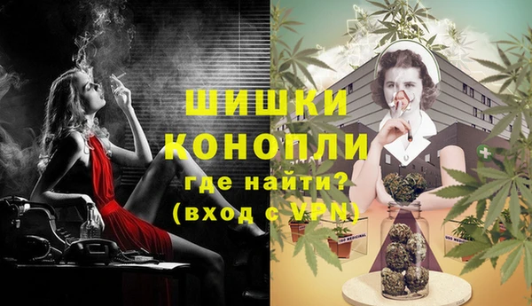 дживик Новокубанск