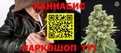 spice Гусиноозёрск