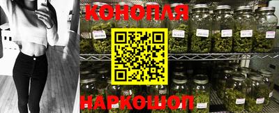 мяу мяу мука Гусь-Хрустальный