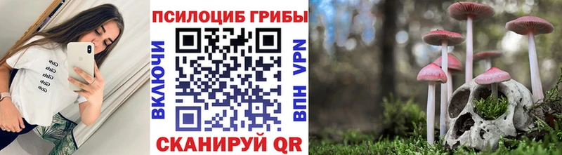 Галлюциногенные грибы Cubensis  где купить наркотик  Истра 