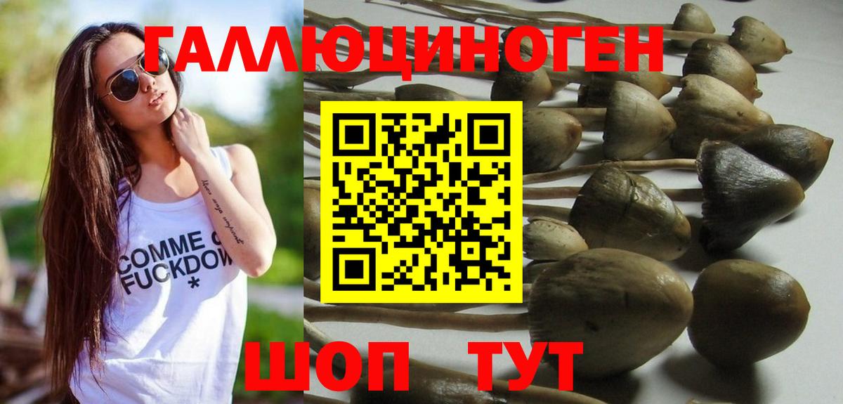 Галлюциногенные грибы Psilocybine cubensis  Вход с VPN  купить   Истра 