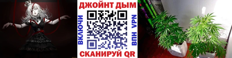 Бошки Шишки VHQ  Истра 