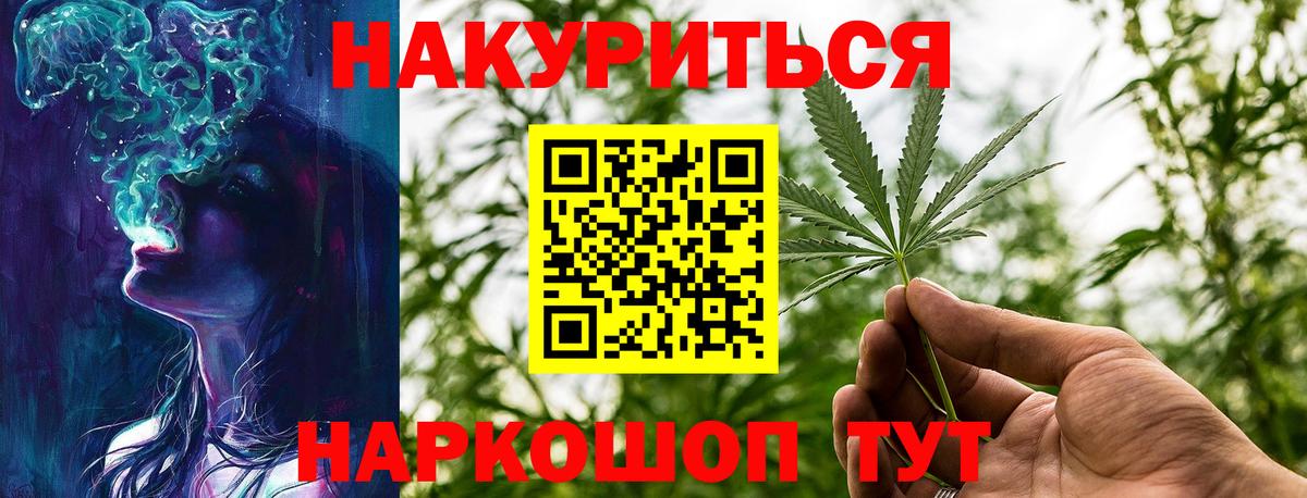 Бошки марихуана планчик  Истра  МАРИХУАНА сатива 